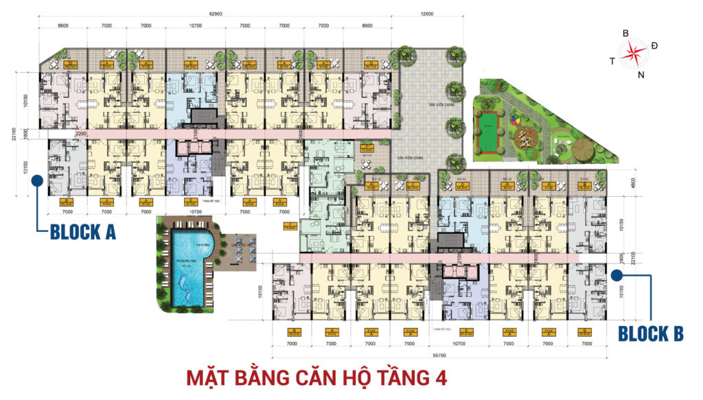high-intela-tang-4